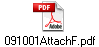 091001AttachF.pdf