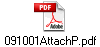 091001AttachP.pdf