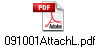091001AttachL.pdf