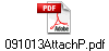 091013AttachP.pdf
