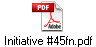 Initiative #45fn.pdf